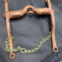 Western Bit For A Horse of decoration