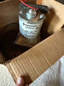 Pentair Shurflo 12V Water Pump 4008-101-A65