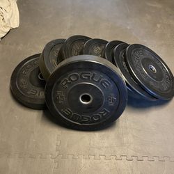 Rogue Fitness HG 2.0 Bumper Plates