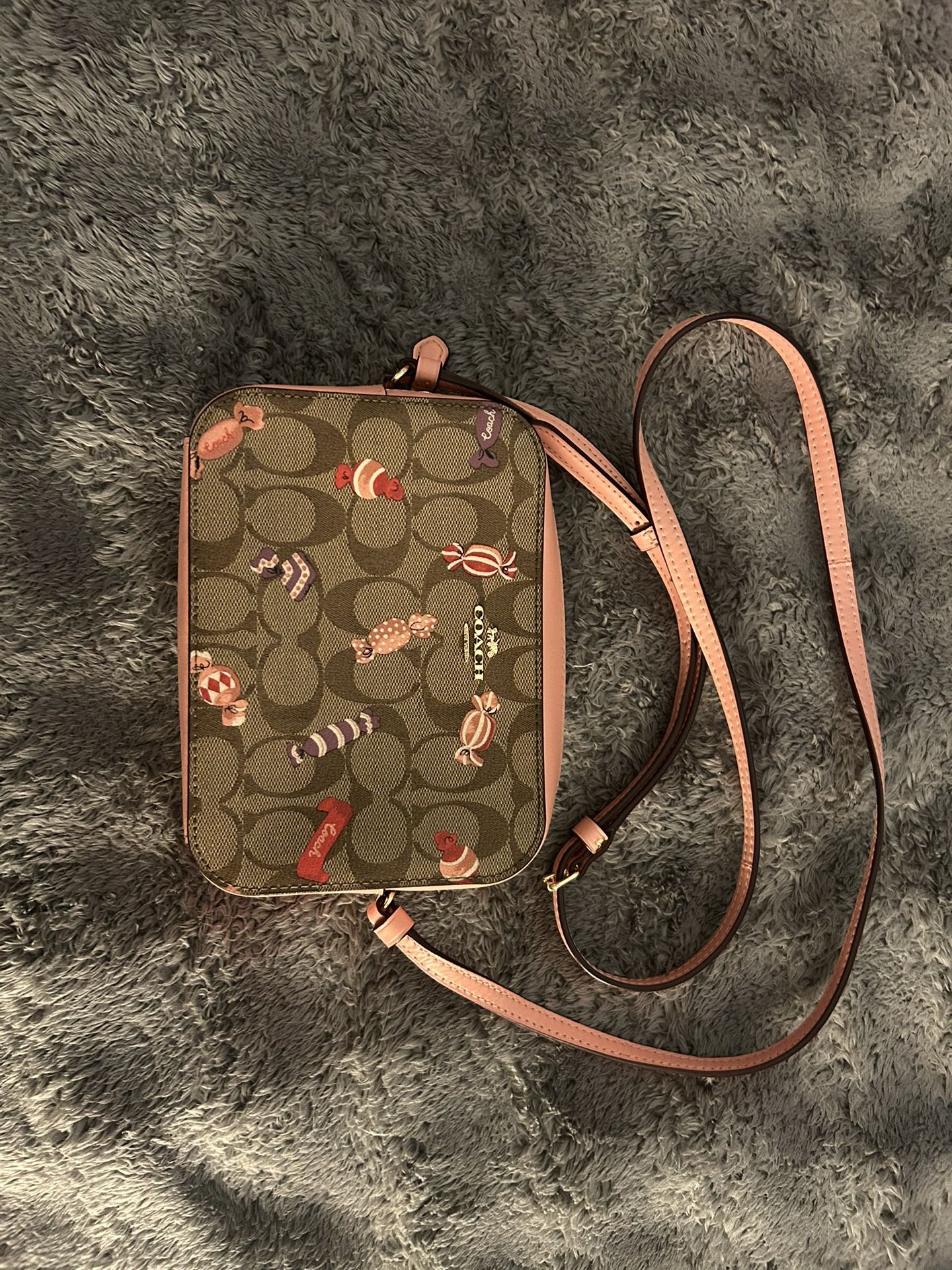 purse coach bag