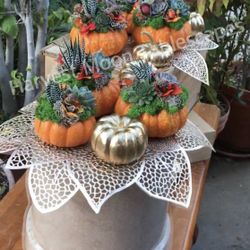 Thanksgiving Tablescape Succulent Pumpkins