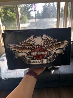 Harley Helmet