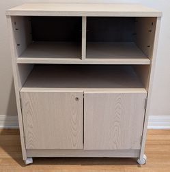 Rolling Cabinet with Removable Shelves