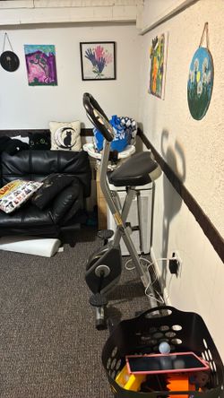 exerpeutic folding bike