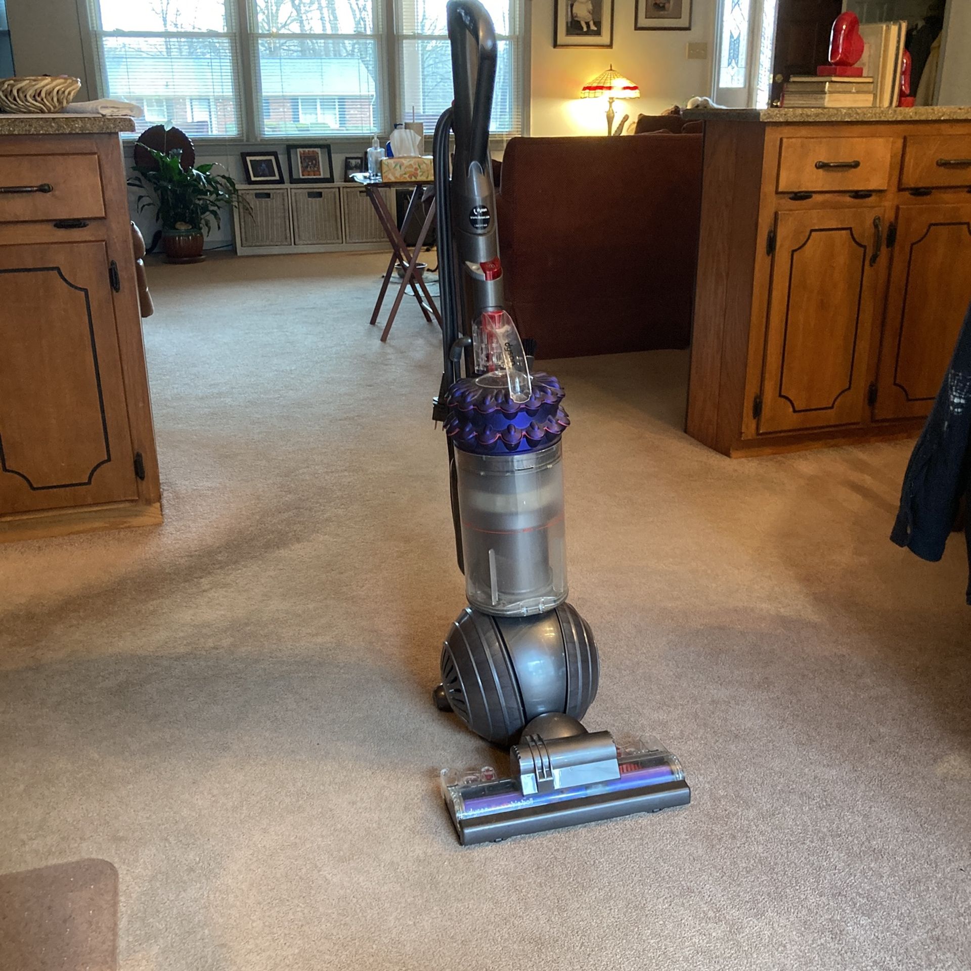 Dyson MK5 Animal Ball Vacuum Cleaner