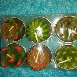 New Succulent Candles 