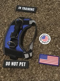 XS dog harness with Velcro stick ons
