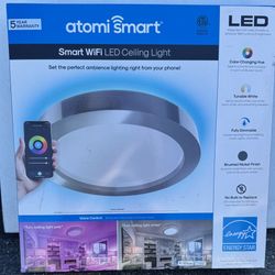 Smart LED Ceiling Light
