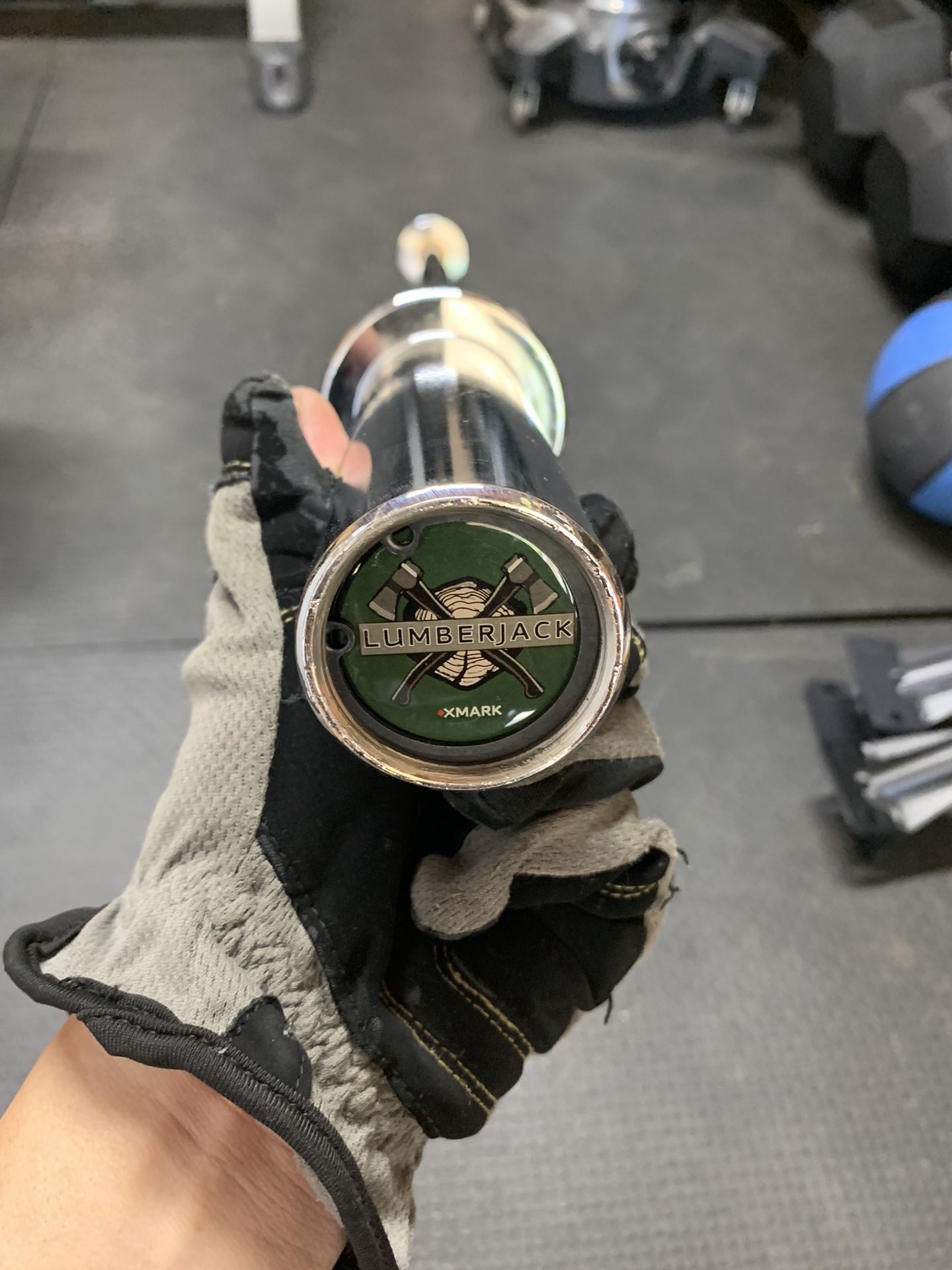 XMARK Olympic Curl Bar