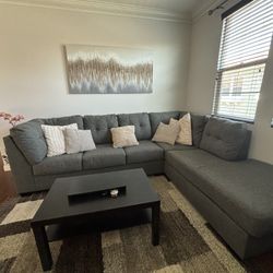 Grey Sectional Couch 