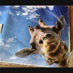New XL Long Giraffe mousepad/ gaming pad. Cute Gift! 