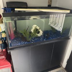 40 Gallon Fish Tank With stand 