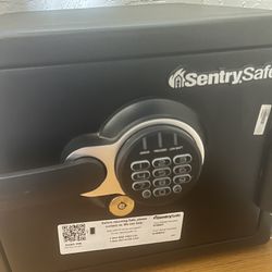 Security Safe 