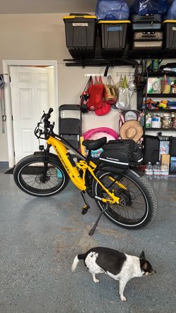 Obsidian electric bike