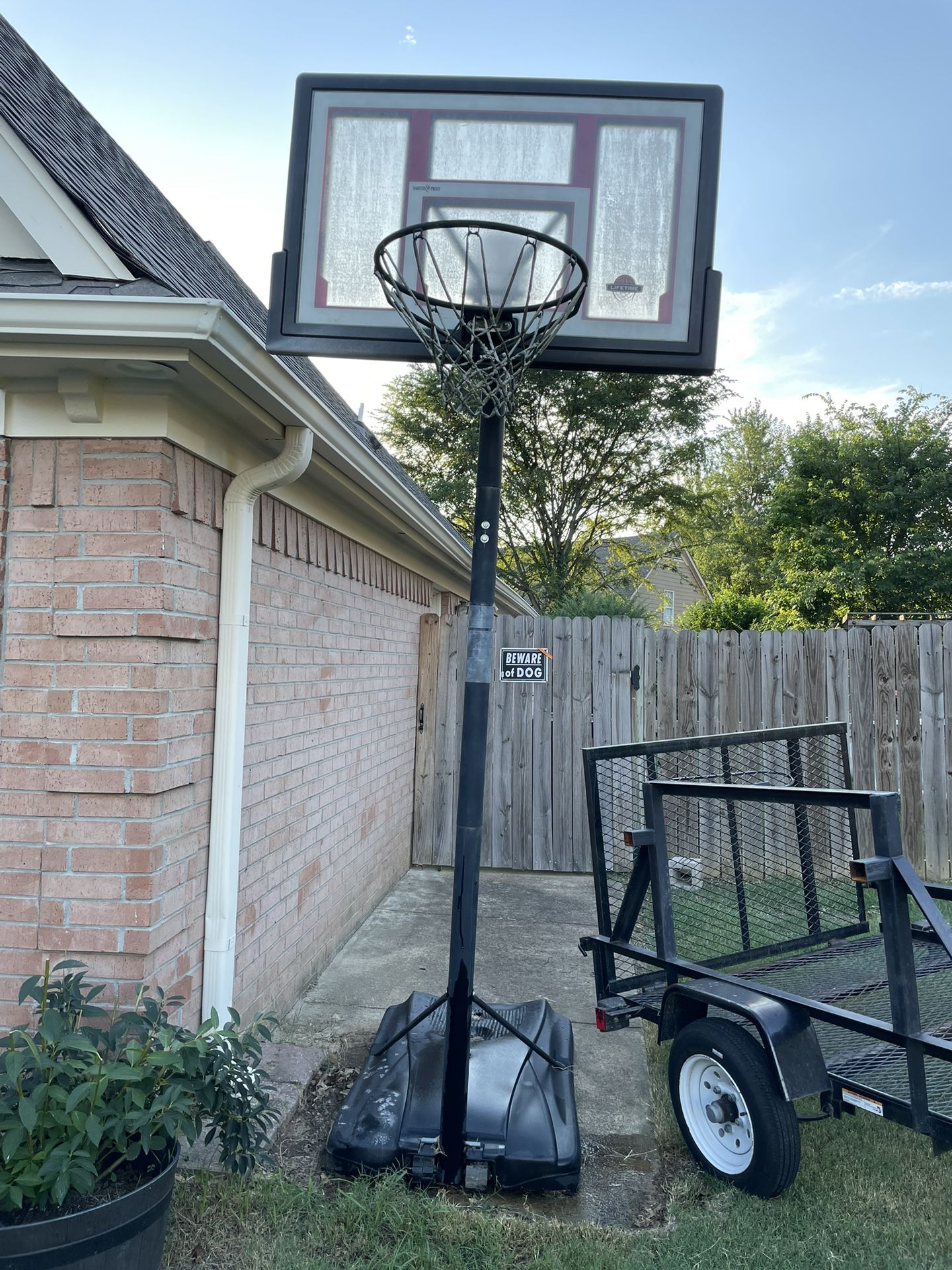 Basketball Hoop / Net Lifetime