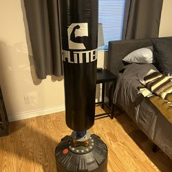67in (height) Freestanding Punching Bag w/ Suction Cup Base