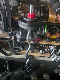 Eazy Curl Bar with Weights