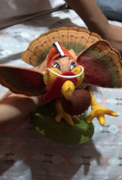 Turkey playing foot ball