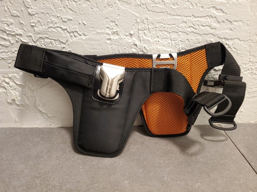 LensGo dual holster