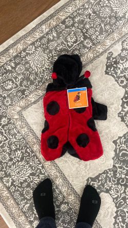 Repost Later Lady Bug Costume (Halloween)