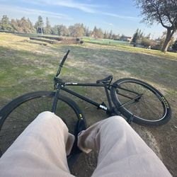 Stolen Brand Bmx 29 Inch Wheelie Bike 