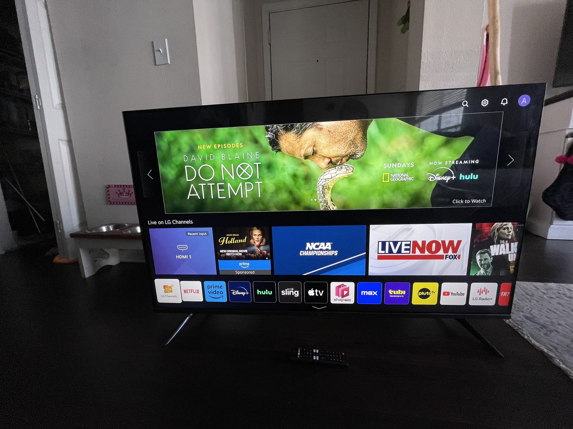 LG 48’ Inch Tv