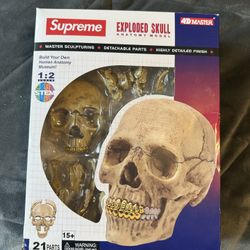 Supreme 4D Human Skull