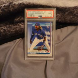 Vladimir Guerrero Jr Baseball Card