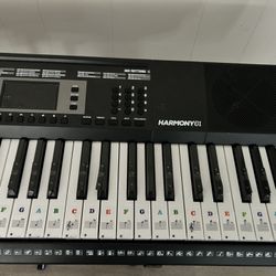 Piano Keyboard With Stand. 