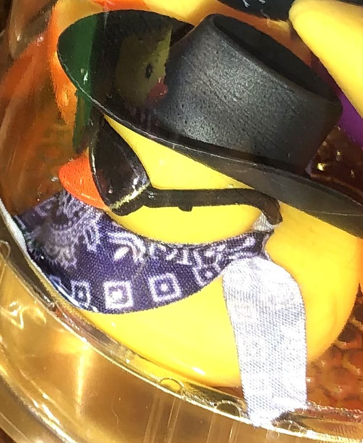 Ducks $2 Each .50 Cents A Duck And Extras In The Case