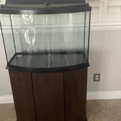 60 Gallon Bow Front 