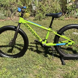 Cannondale Trail Mountain Bike 20