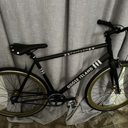 Brand New Bicycle 