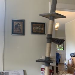 Cat Tower 
