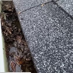 Gutter Cleaning Services