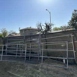 Horse Coral Panels 