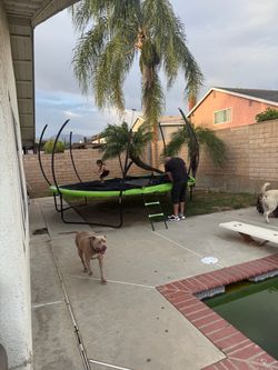 14 ft trampoline with ladder
