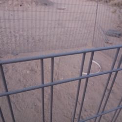 Big Dog Cages