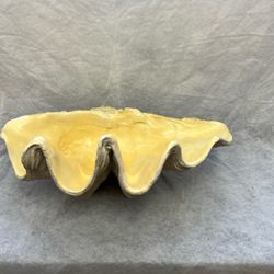 Extra Large Atlantis Clam Shell