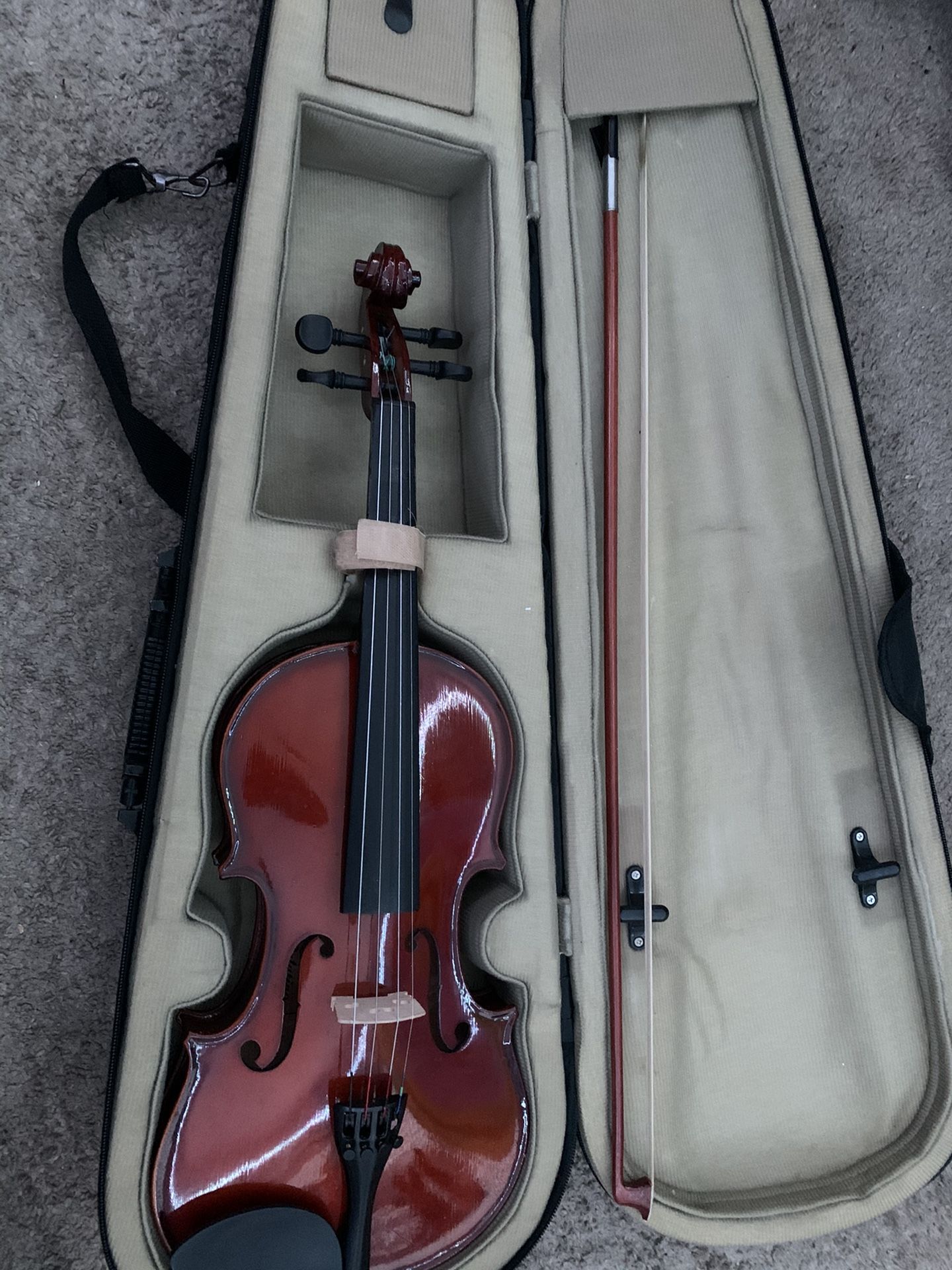 Violin