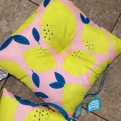 2 New Outdoor Cushions 