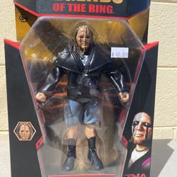 WWE Action Figure : Raven [ Opened Boxed ] 