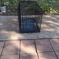Dog Cage 