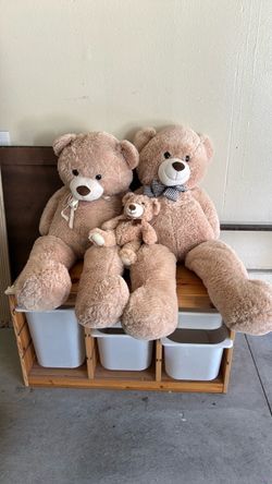 Stuffed bear props