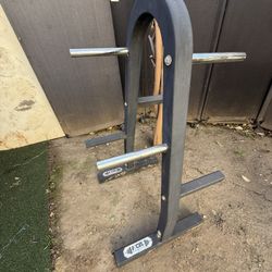 Tree Plate To Hold Your Plates