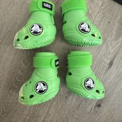 Dog’s Crocs