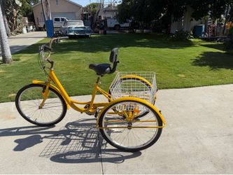Tricycle bike
