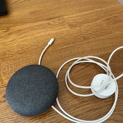 Google Home Mini