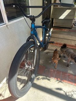 Throne 27.5