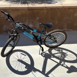 Bicycle Boys 20 Inch